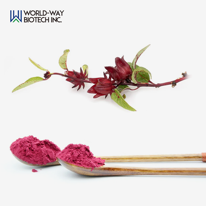 How Does Hibiscus Extract Support Women’s Health? How Does Hibiscus Extract Support Women’s Health?
